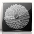 Framed wall art featuring a botanical dahlia design in vibrant colors, set in a sleek black frame, perfect for home decor or office styling. Ideal for flower enthusiasts and nature lovers.