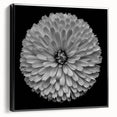 Framed canvas wall art featuring a vibrant botanical dahlia design in rich colors, showcased from the side with a sleek black frame, perfect for home decor.