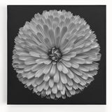 Stretched canvas wall art featuring a vibrant botanical dahlia design in rich colors, perfect for home decor or art enthusiasts, showcasing intricate floral details.
