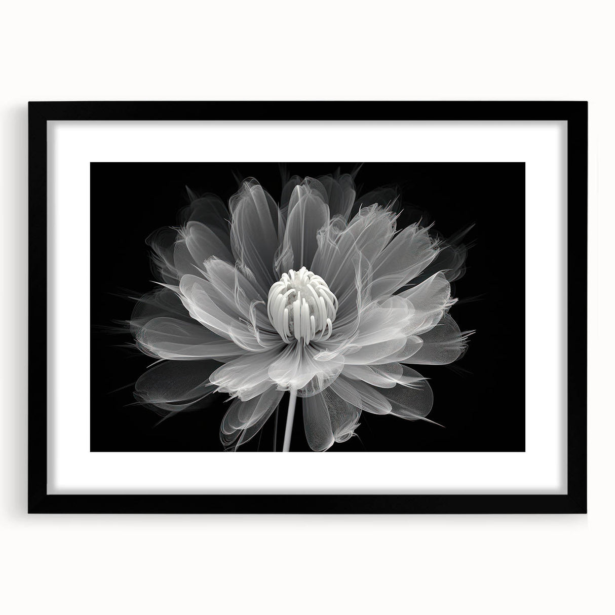 Black-framed wall art showcasing a botanical dahlia design, featuring vibrant colors and intricate details, ideal for home decor and floral enthusiasts.