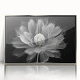 Framed wall art showcasing a vibrant botanical dahlia design in rich colors, set in a sleek silver-acrylic frame, ideal for modern home decor.