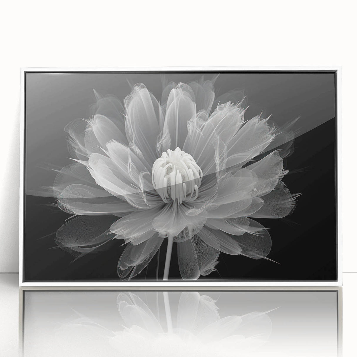 Framed acrylic wall art showcasing a vibrant botanical dahlia design, featuring a white border and a modern aesthetic, perfect for enhancing home decor.
