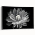 Framed canvas artwork showcasing a botanical dahlia design in vibrant colors, featuring a black frame and side view, perfect for enhancing home decor.