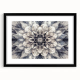 Black-framed botanical wall art featuring vibrant dahlia flowers in a stunning design, perfect for home decor, showcasing intricate details and rich colors.
