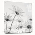 Acrylic wall art featuring a vibrant botanical daisy design, showcasing colorful flowers against a clear background. Ideal for home decor or office spaces.