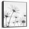 Framed canvas wall art featuring a botanical daisy design, showcasing intricate floral details and a sleek black frame, perfect for modern decor.