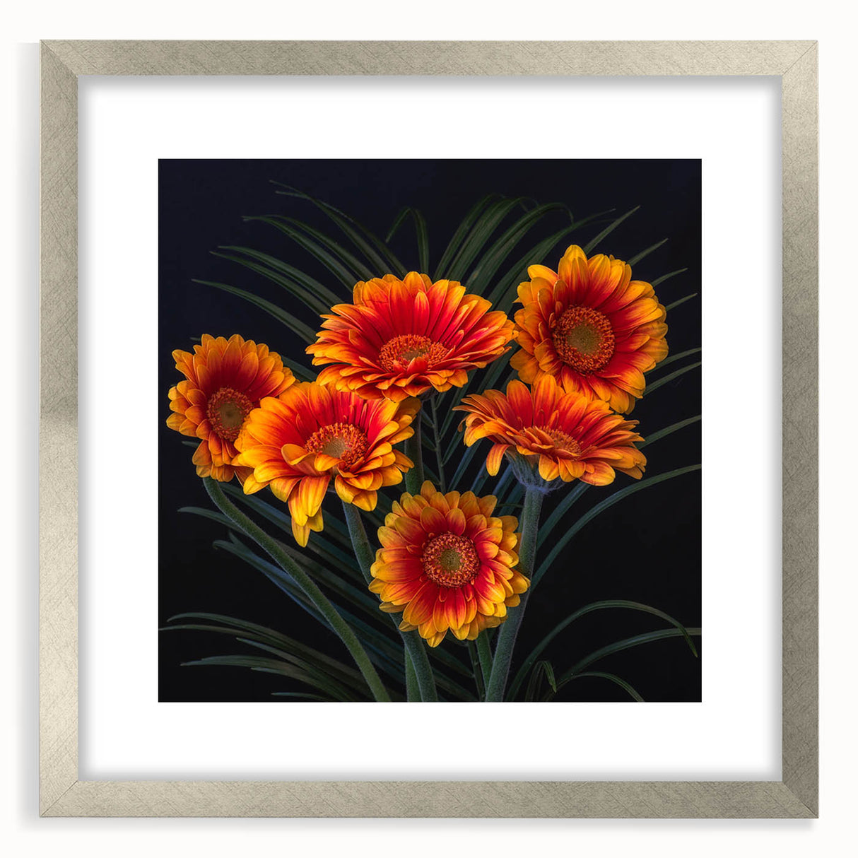 Framed botanical wall art featuring a delicate daisy design, elegantly matted with a silver frame, perfect for enhancing home decor with a touch of nature.