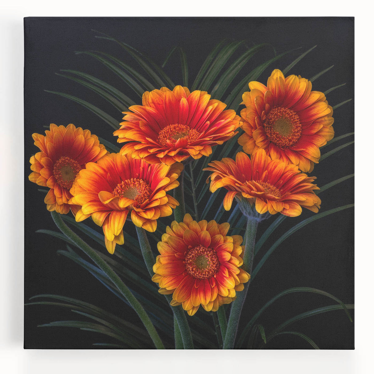 Stretched canvas wall art showcasing a vibrant botanical daisy design on a neutral background, perfect for enhancing modern home decor with a floral touch.