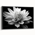 Framed botanical wall art showcasing a daisy design on a canvas with a black frame, emphasizing vibrant colors and intricate floral details, perfect for home decor.