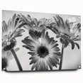 Acrylic glass wall art showcasing a botanical daisy design, featuring vibrant colors and a side view with pins for easy hanging, perfect for home decor enthusiasts.