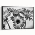 Framed black wall art featuring an intricate botanical daisy design on canvas, showcasing vibrant floral patterns and textures for modern decor.