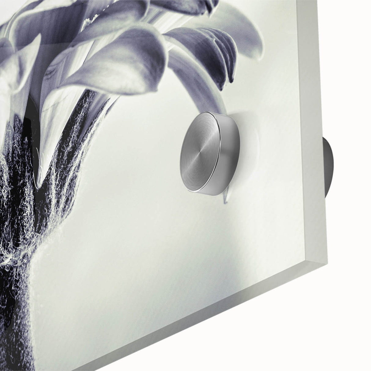 Close-up of a botanical wall art design featuring vibrant daisies on acrylic glass, showcasing intricate details and bright colors, ideal for home decor.