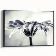 Framed canvas wall art showcasing a botanical daisy design in vibrant colors, featuring a sleek black frame and a side view that highlights its elegant profile, perfect for home decor.