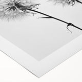 Rolled canvas featuring a botanical design of delicate dandelions, showcasing intricate details and soft color tones, perfect for enhancing any home decor aesthetic.