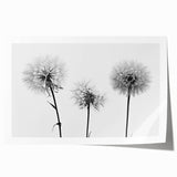 Botanical wall art print showcasing a vibrant dandelion design on a soft white background, ideal for home decor or nature-themed interiors.