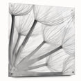 Botanical wall art featuring a delicate dandelion design on acrylic glass, showcasing vibrant colors and intricate details, elegantly displayed with pins against a neutral background.