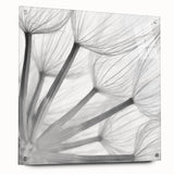Botanical wall art featuring a delicate dandelion design on acrylic glass, showcasing vibrant colors and intricate details, elegantly displayed with pins against a neutral background.