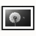 Framed botanical wall art featuring a detailed dandelion design in black, showcasing delicate white flowers against a sleek black frame, perfect for modern decor.