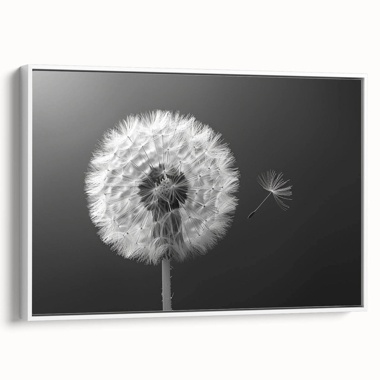 Framed canvas wall art showcasing a botanical dandelion design in monochrome tones, ideal for modern home decor. Features a sleek white frame, enhancing elegance and style.