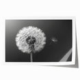 Botanical dandelion wall art print showcasing intricate floral details in soft pastel colors, rolled and ready for framing, perfect for home decor enthusiasts.
