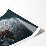 Botanical dandelion wall art print showcasing intricate details and subtle color gradients, perfect for home decor or nature-themed spaces, rolled and ready for framing.