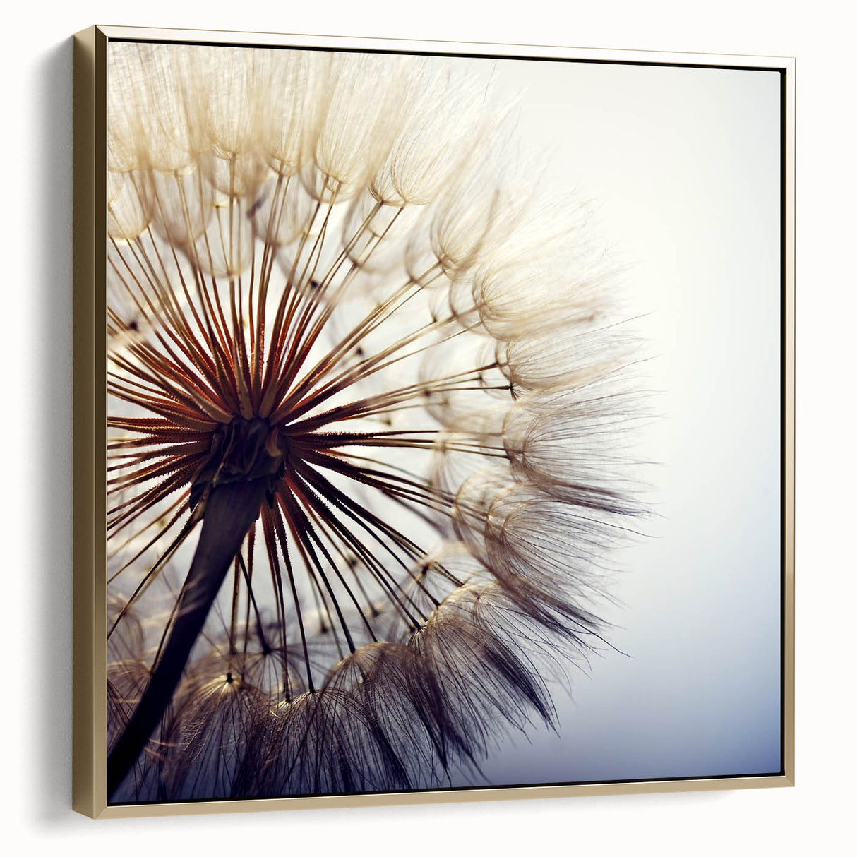 Framed wall art featuring a botanical design of dandelions in silver and gold tones, showcasing intricate details against a textured background, perfect for home decor.