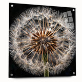 Acrylic glass wall art collection featuring a botanical dandelion design, side view showcasing intricate details and pins, set against a neutral background. Ideal for home décor enthusiasts seeking nature-inspired aesthetics.