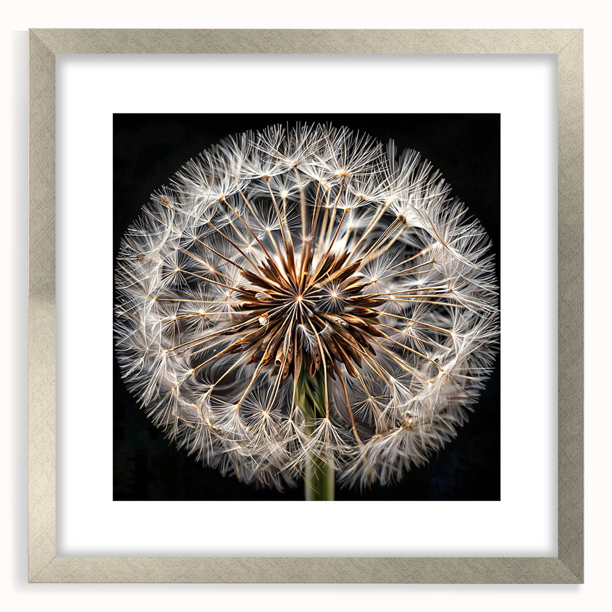 Framed botanical wall art featuring a delicate dandelion design in a silver frame, complete with a mat for an elegant presentation, perfect for home decor.