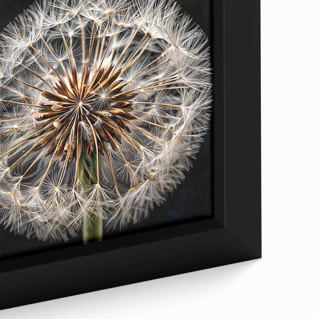 Close-up of a framed botanical wall art piece showcasing a detailed dandelion design, featuring intricate textures and a vibrant color palette, perfect for home decor.