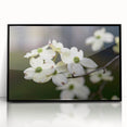 Framed botanical wall art featuring a detailed dogwood flower design in soft pastels, set in a sleek black frame, perfect for home decor enhancement.
