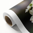Botanical dogwood wall art design on rolled canvas, showcasing delicate pink and white flowers with lush green leaves, ideal for nature-inspired decor.