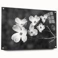 Acrylic glass wall art piece showcasing a botanical dogwood design, elegantly framed with pins, featuring vibrant colors and intricate floral details. Perfect for home decor.