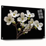 Botanical wall art featuring a vibrant dogwood design printed on acrylic glass, showcasing intricate floral details and mounted with stylish pins for easy display.
