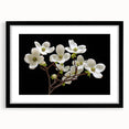 Botanical wall art featuring a black-framed dogwood design, showcasing delicate flowers with soft colors, perfect for adding elegance to any room decor.