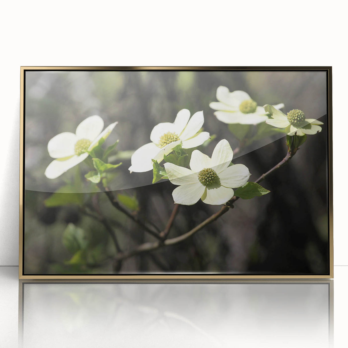 Framed wall art featuring a botanical dogwood design, showcasing delicate white flowers on a soft green background, highlighted by a sleek gold frame. Ideal for enhancing home decor with a touch of nature-inspired elegance.