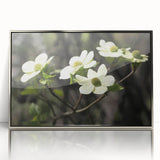 Framed wall art featuring a delicate botanical design of white dogwood flowers against a soft silver background, enhancing modern home decor with elegance.