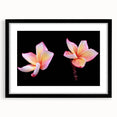 Botanical dogwood wall art collection in a black frame, showcasing intricate floral designs with a white mat, perfect for home decor. Ideal for nature enthusiasts.