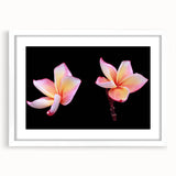 White-framed botanical wall art featuring a delicate dogwood flower design, elegantly matted for a refined look, ideal for enhancing home decor.
