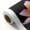 Botanical wall art featuring a delicate dogwood flower design on rolled canvas, showcasing soft pink and white hues, ideal for home decor.