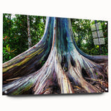 Eucalyptus botanical wall art displayed in an acrylic glass frame, showcasing intricate floral details and a modern aesthetic, perfect for home decor.