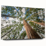 Eucalyptus botanical wall art design rendered in acrylic glass, showcasing vibrant green leaves and delicate details, elegantly displayed with pins on a neutral background. Perfect for home décor enthusiasts seeking a modern, nature-inspired aesthetic.