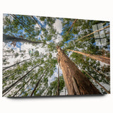 Eucalyptus botanical wall art design in acrylic glass, showcasing a side view without pins, featuring delicate green hues and intricate leaf details, ideal for home decor.