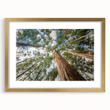 Botanical wall art featuring a delicate eucalyptus design in a gold frame with a mat, perfect for adding a touch of elegance to home decor. The artwork showcases soft green tones and intricate leaf details, ideal for nature lovers looking to enhance their living space.