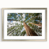 Botanical wall art featuring a silver-framed eucalyptus design with mat, showcasing elegant greenery against a white background, ideal for home decor.