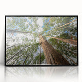 Framed wall art featuring an elegant botanical design of eucalyptus leaves in soft green tones, set in a sleek black frame, perfect for modern home decor.