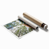 Eucalyptus botanical wall art print showcasing delicate green foliage on a soft beige background, beautifully rolled for easy display in any room.