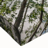 Close-up of a stretched canvas wall art featuring a botanical eucalyptus design with lush green tones, perfect for adding a touch of nature to home decor.