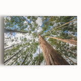 Eucalyptus botanical wall art design featuring delicate green leaves on a white background, elegantly stretched over a wooden frame for modern home decor.