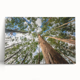 Stretched canvas wall art featuring a botanical eucalyptus design, showcasing vibrant green leaves against a soft background, perfect for modern home decor.
