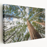 Eucalyptus botanical wall art design on stretched canvas, showcasing vibrant green hues and intricate leaf patterns, perfect for modern decor.